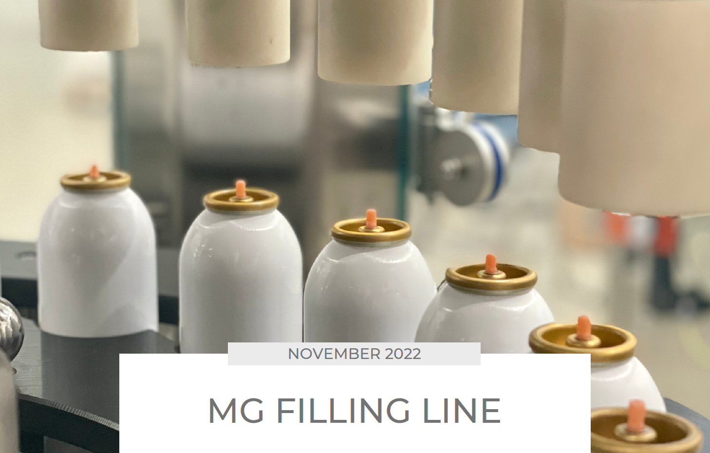 16_NEWSLETTER_NOVEMBRE_2022