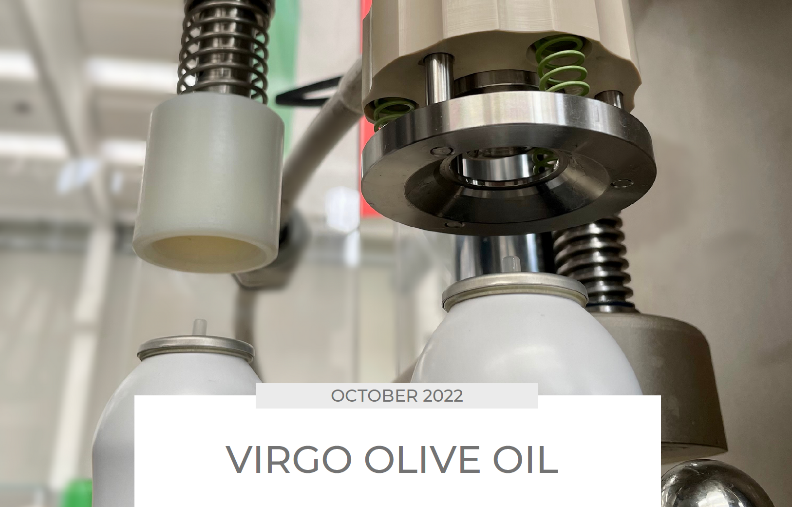 Newsletter-sito